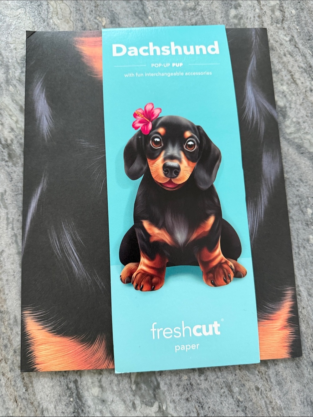 Dachshund Pop-Up Pup Card - Black & Tan